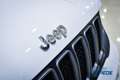 Jeep Renegade Renegade 1.5 turbo t4 mhev Limited  130cv Bianco - thumbnail 6