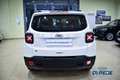 Jeep Renegade Renegade 1.5 turbo t4 mhev Limited  130cv Bianco - thumbnail 4