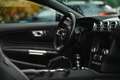 Ford Mustang 5.0 V8 GT (Grail Deep AGA + Nanographen uvm.) - EU Blau - thumbnail 7