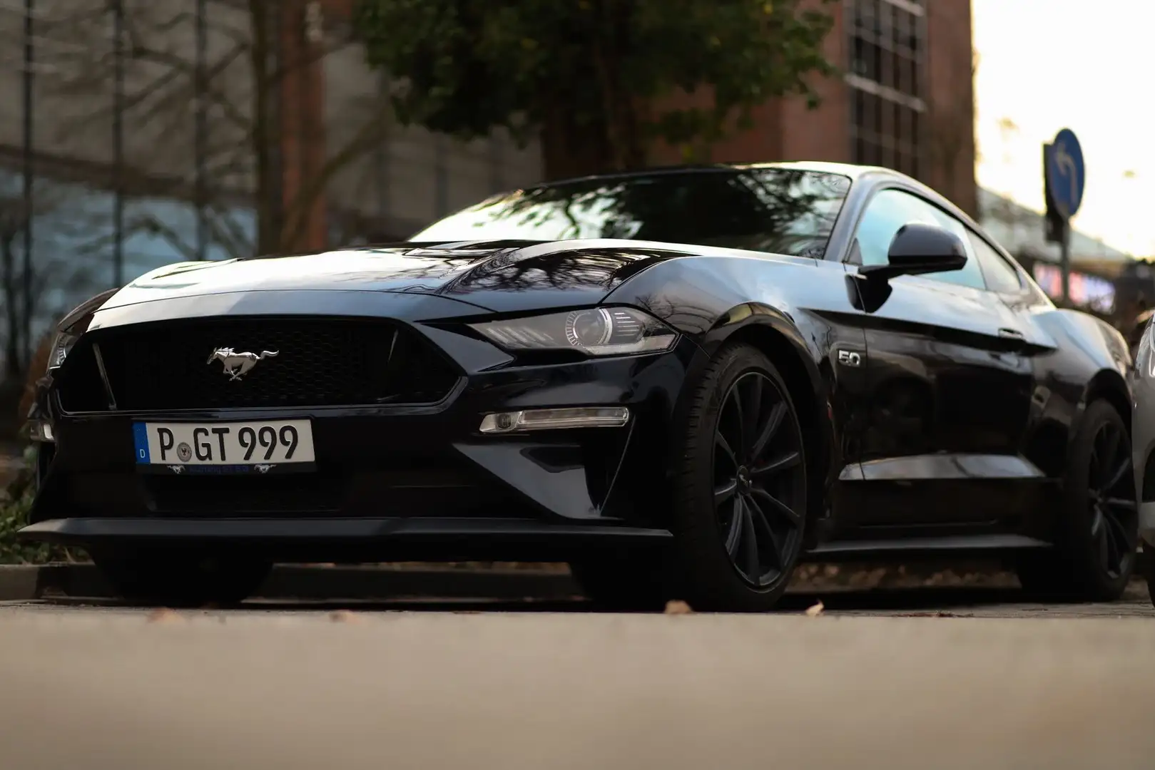 Ford Mustang 5.0 V8 GT (Grail Deep AGA + Nanographen uvm.) - EU Blau - 2