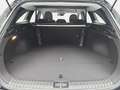 Kia Ceed SW / cee'd SW CEED SW 1.5 T-GDI 48V DCT7 ULTIMATE EDITION STYLE Schwarz - thumbnail 15