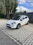 Fiat Punto 0,9 TwinAir Turbo 105 Lounge - thumbnail 1