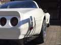 Corvette C3 5700 cilindrata Bianco - thumbnail 7