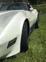 Corvette C3 5700 cilindrata Bianco - thumbnail 1