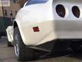 Corvette C3 5700 cilindrata Bianco - thumbnail 2