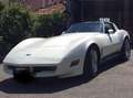 Corvette C3 5700 cilindrata Bianco - thumbnail 10