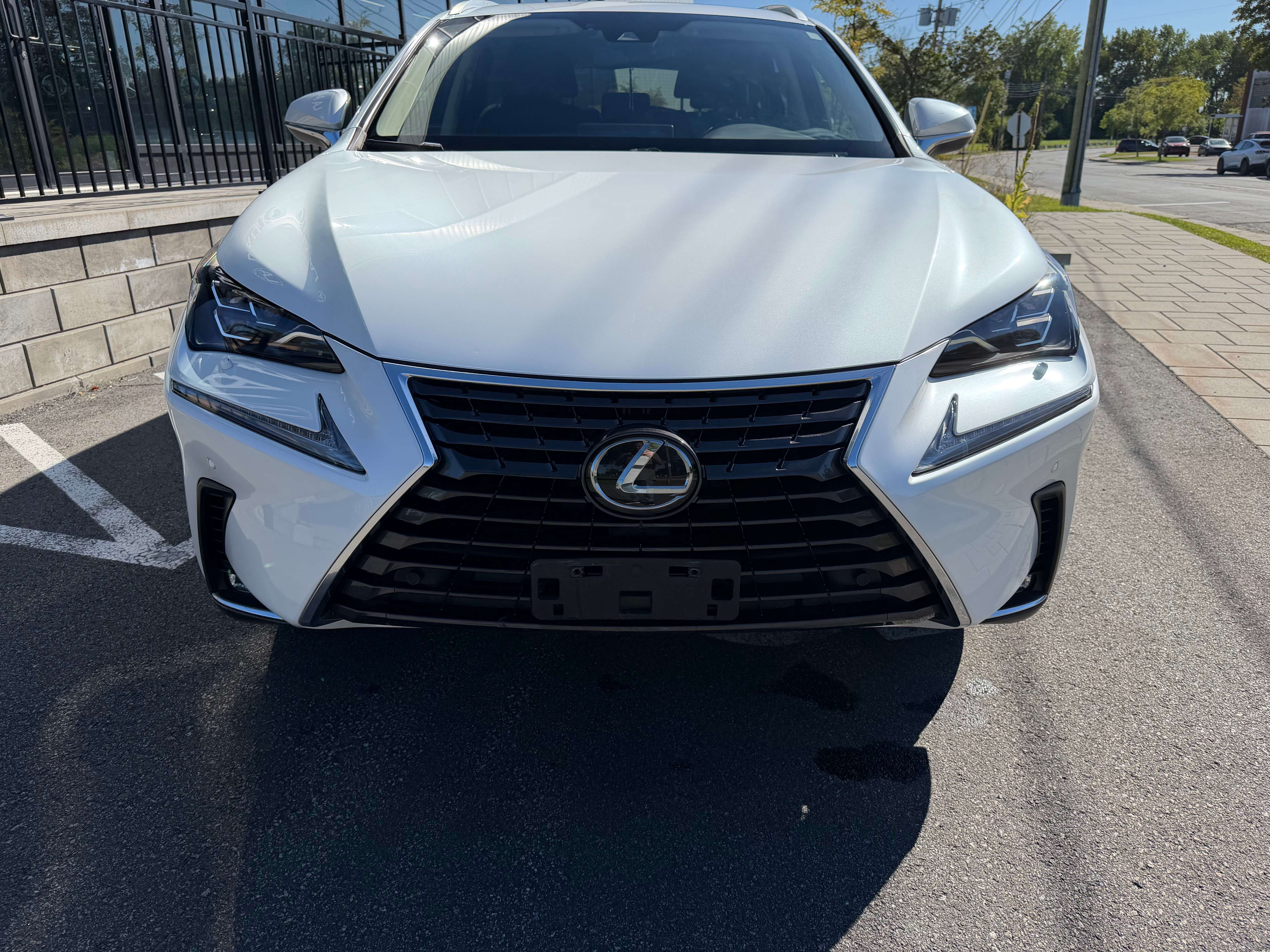 2020 Lexus NX