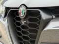 Alfa Romeo Tonale Tonale 1.6 DDCT Sprint /CarPlay/Led/Cam./Pdc/S.c/ Grijs - thumbnail 27