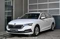 Skoda Octavia 2.0 TDI DPF Business Kombi Pickerl NEU Weiß - thumbnail 1