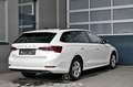 Skoda Octavia 2.0 TDI DPF Business Kombi Pickerl NEU Wit - thumbnail 2