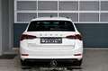 Skoda Octavia 2.0 TDI DPF Business Kombi Pickerl NEU Weiß - thumbnail 4