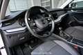 Skoda Octavia 2.0 TDI DPF Business Kombi Pickerl NEU Wit - thumbnail 12