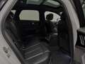Audi A6 Avant 3.0 TDI Competition*21 Zoll Raffa*AHK* Blanco - thumbnail 22