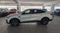 Renault Arkana Hybrid E-TECH 145 CV R.S. Line Wit - thumbnail 2