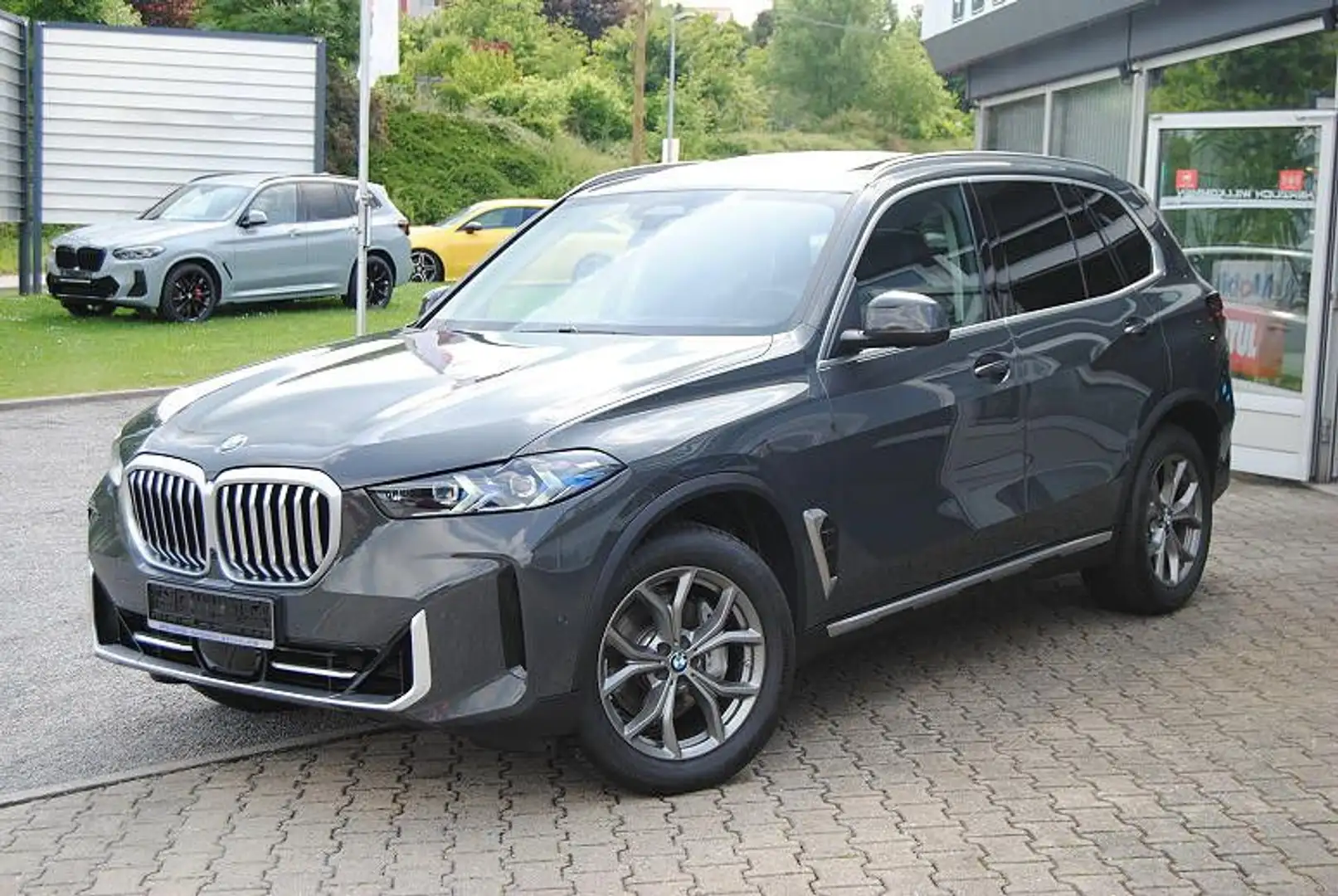 BMW X5 xDrive30d.Pano.Komfortsitz.Drive-Prof.H&K.AHK Grau - 1