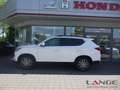 SsangYong Rexton Rexton 2.2D Sapphire Blackline 20Zoll Elegance All Blanco - thumbnail 3