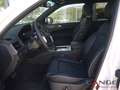 SsangYong Rexton Rexton 2.2D Sapphire Blackline 20Zoll Elegance All White - thumbnail 8
