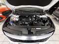 Kia Sportage 1.6 T-GDI 2WD Eco-Dyn. (48V M-H) Spirit Weiß - thumbnail 30