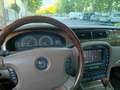 Jaguar S-Type S-Type V8 4.2 Executive Aut. Executive Verde - thumbnail 14