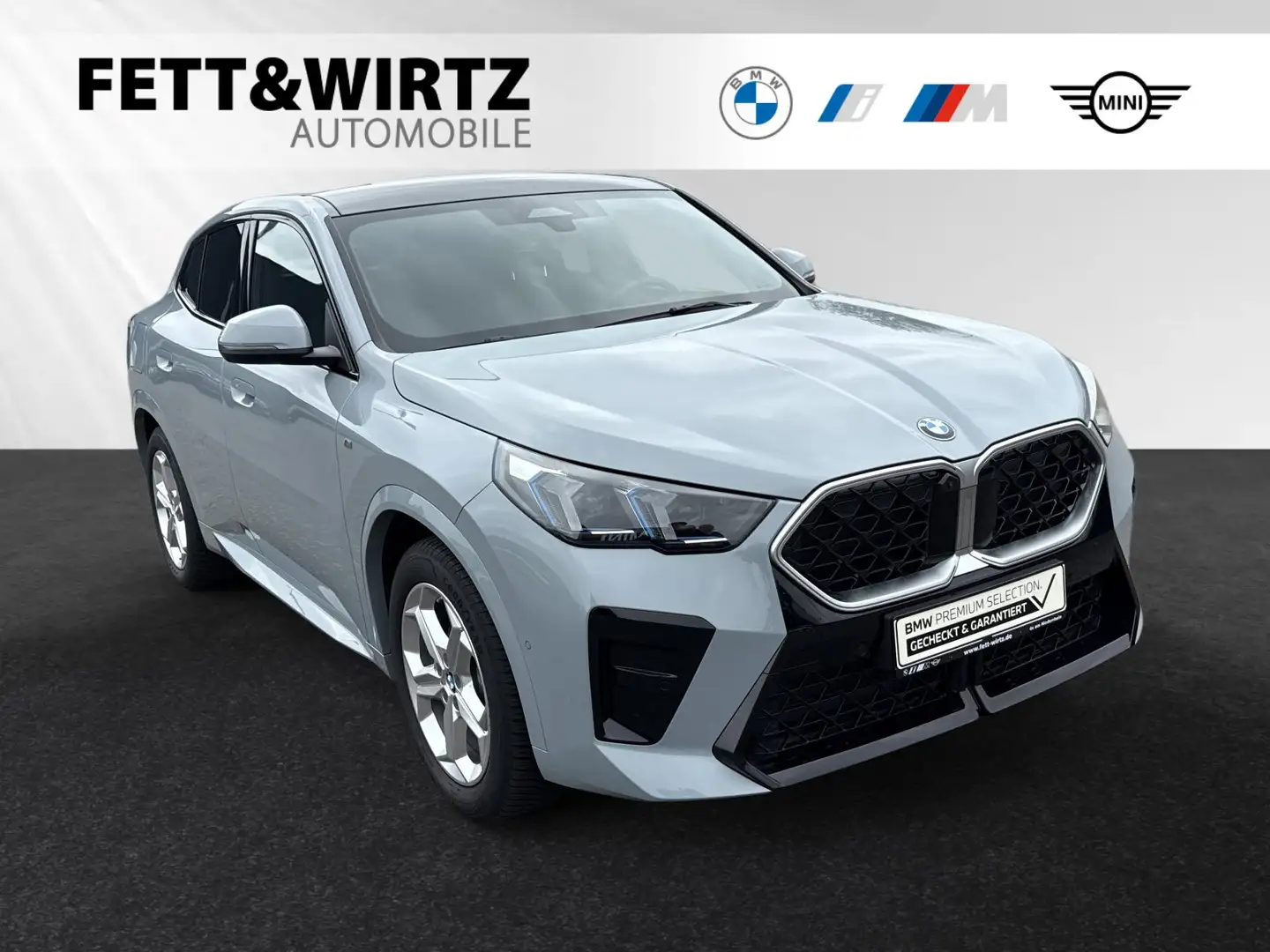 BMW X2 sDrive20d M Sport|AHK|Pano|Head-Up|H/K Grau - 1