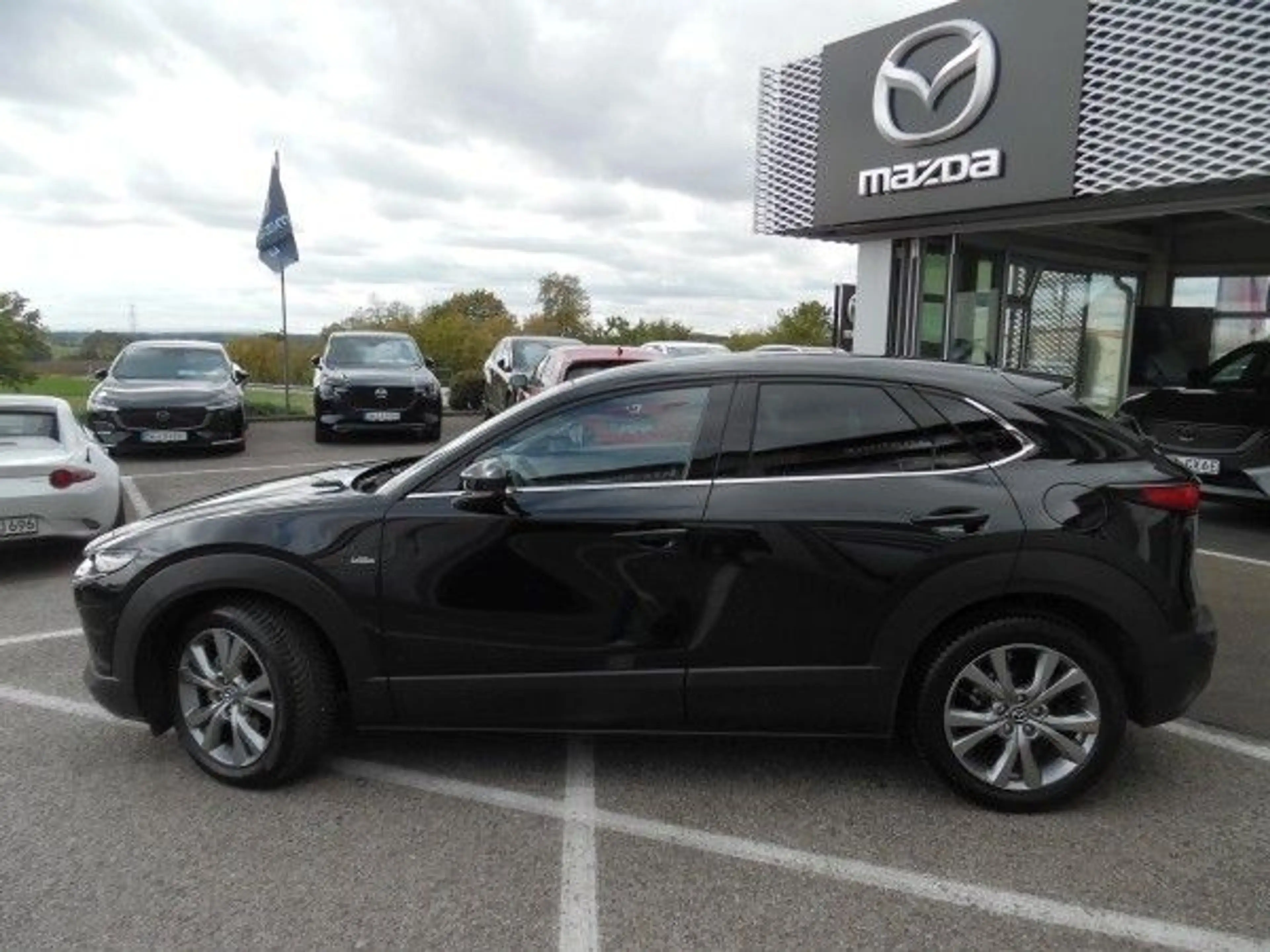 Mazda CX-30 e-SKYACTIV-G M-Hybrid 140 Takumi AT — photo 2