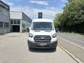 Ford Transit Transit Kasten DoKa 2,0 EcoBlue L3H2 350 Weiß - thumbnail 1