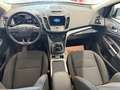 Ford Kuga Kuga II 2017 2.0 tdci Business s - thumbnail 11