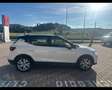 SEAT Arona 1.0 ecotsi Xperience 110cv Bianco - thumbnail 5