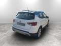 SEAT Arona 1.0 ecotsi Xperience 110cv Bianco - thumbnail 13