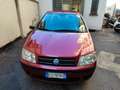 Fiat Punto Punto 1.2 Dynamic 5 porte Rosso - thumbnail 5