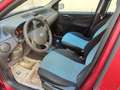 Fiat Punto Punto 1.2 Dynamic 5 porte Rosso - thumbnail 7