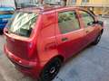 Fiat Punto Punto 1.2 Dynamic 5 porte Rosso - thumbnail 3
