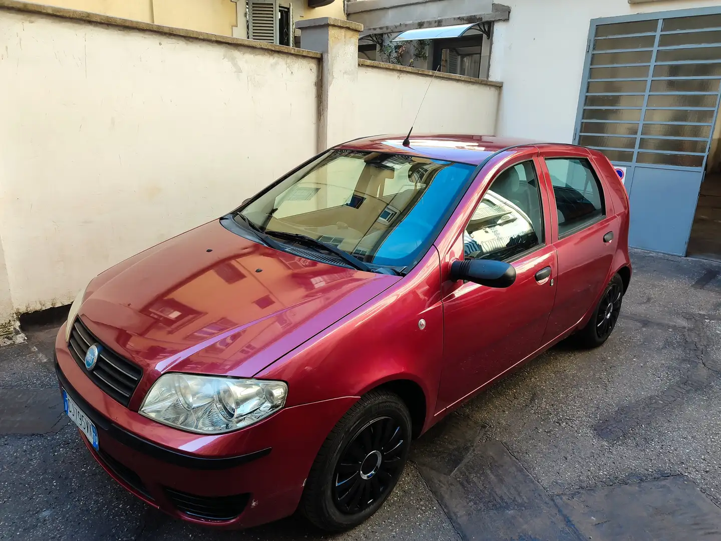 Fiat Punto Punto 1.2 Dynamic 5 porte Rosso - 1