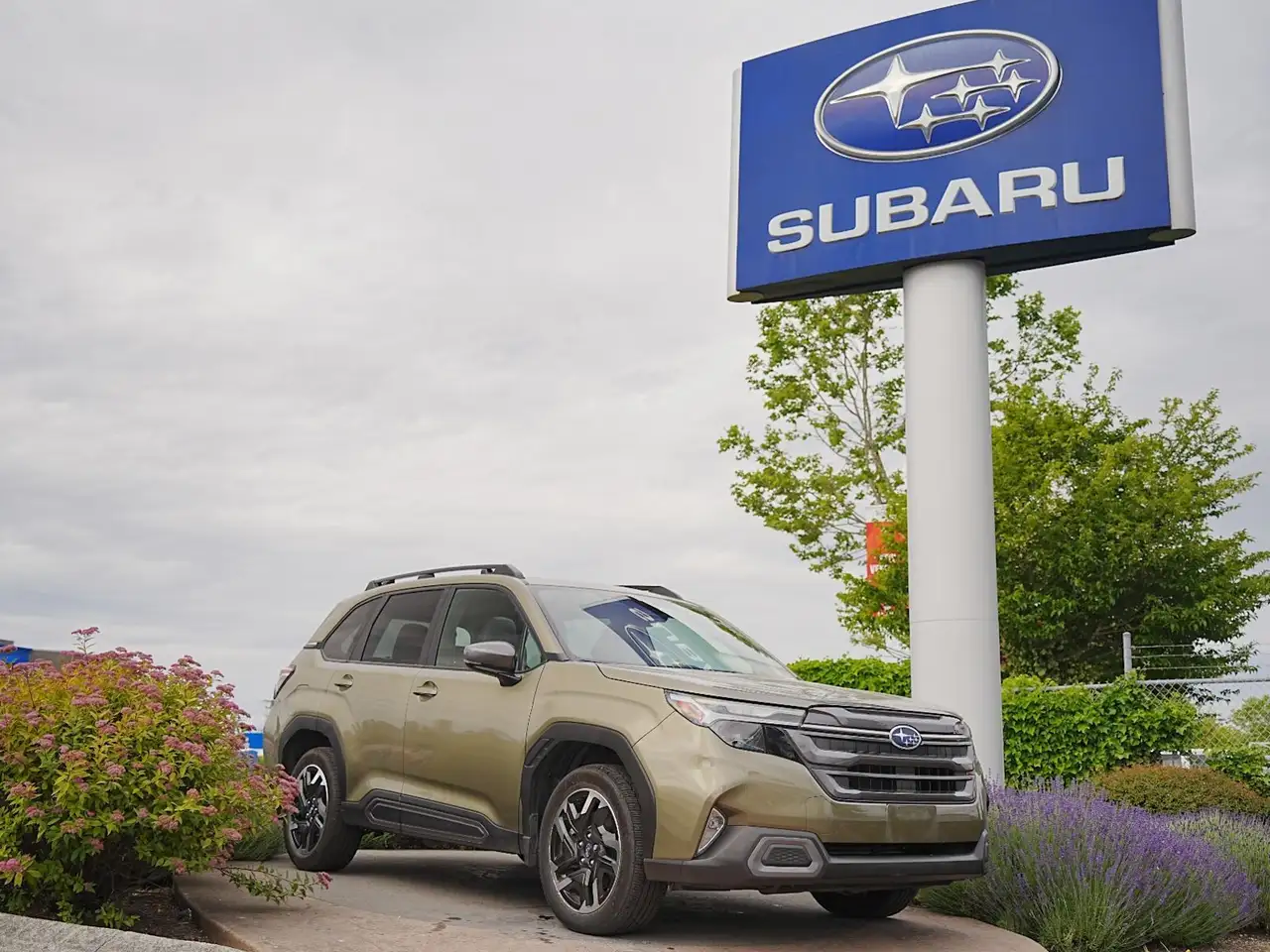 2025 Subaru Forester
