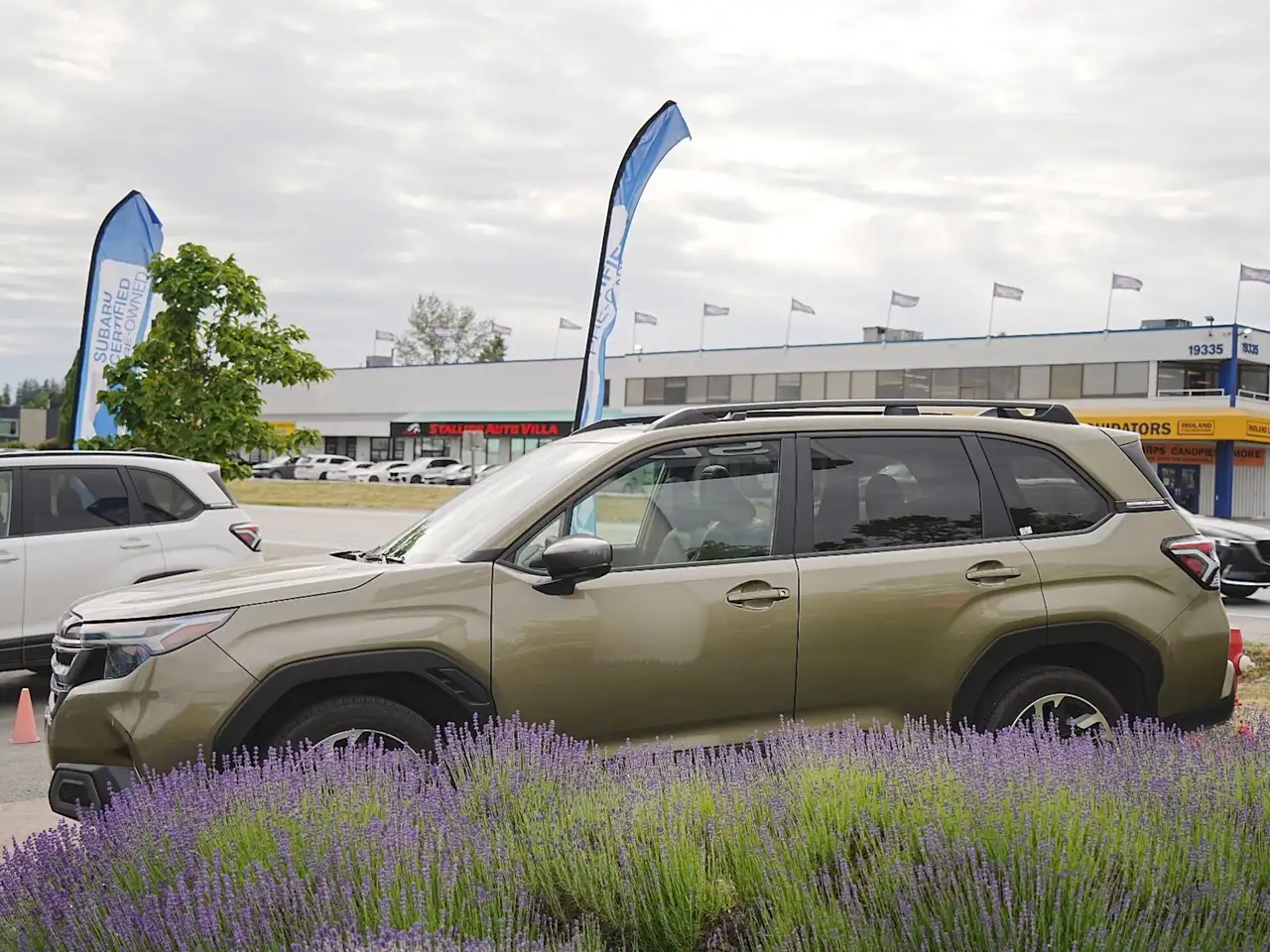 Subaru Forester fotografie Subaru Forester