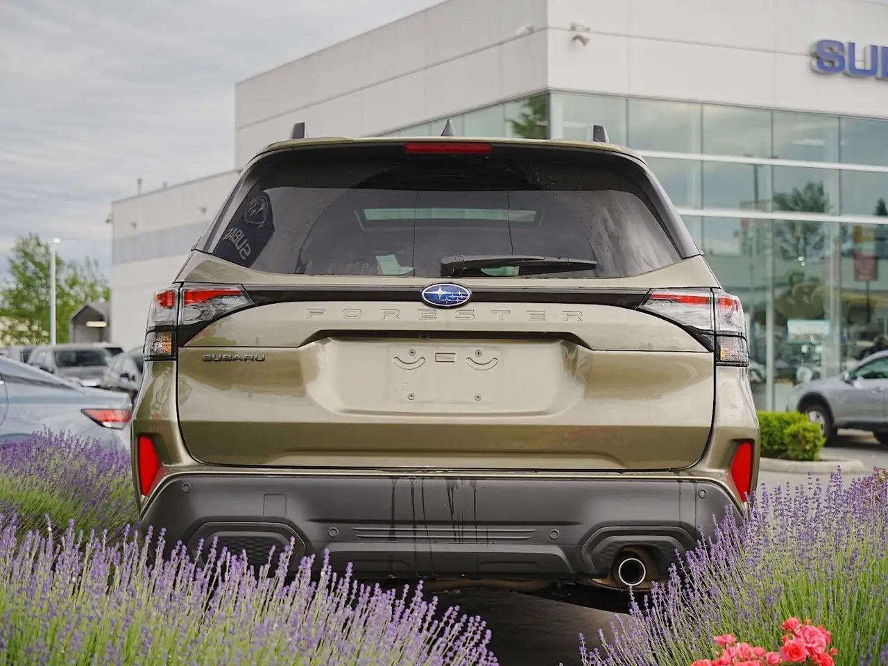 Subaru Forester fotografie Subaru Forester
