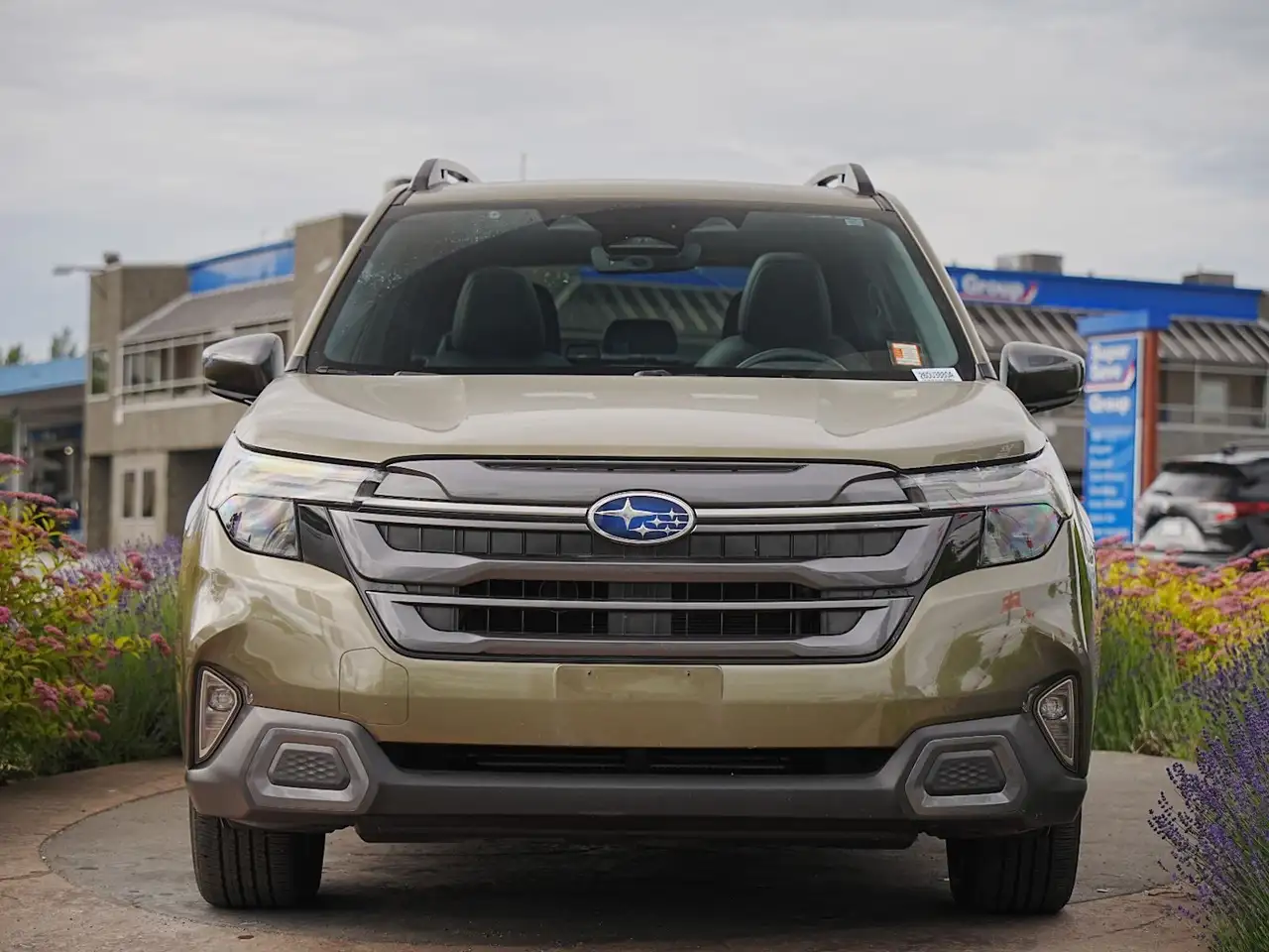 Subaru Forester fotografie Subaru Forester