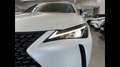 Lexus UX 250h 250 2.0 Hybrid Executive Fehér - thumbnail 17