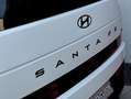 Hyundai SANTA FE 1.6TGDI PHEV Calligraphy 4WD 6AT Blanco - thumbnail 38