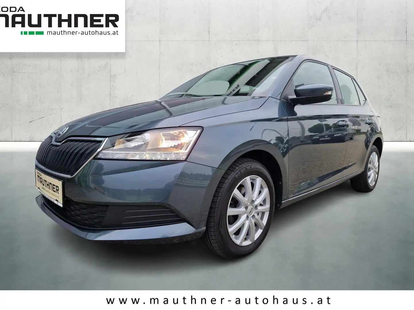 Skoda Fabia Cool Plus Grau - 1