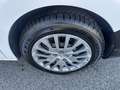 Opel Vivaro 2.0CDTi L2H1 120cv C Aut E6D 2800x1600x1340 kg1255 Blanco - thumbnail 25