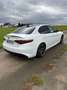 Alfa Romeo Giulia Veloce Q4 Weiß - thumbnail 3