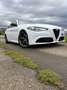 Alfa Romeo Giulia Veloce Q4 Weiß - thumbnail 12