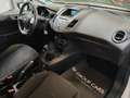 Opel Astra Astra SW 1.7 cdti Enjoy 110cv Grigio - thumbnail 8
