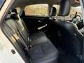 Toyota Prius Prius 1,8 VVT-i Hybrid Premium RKamera HUD Sitzhzg Weiß - thumbnail 20