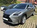 Lexus NX 300h 300h Or - thumbnail 18