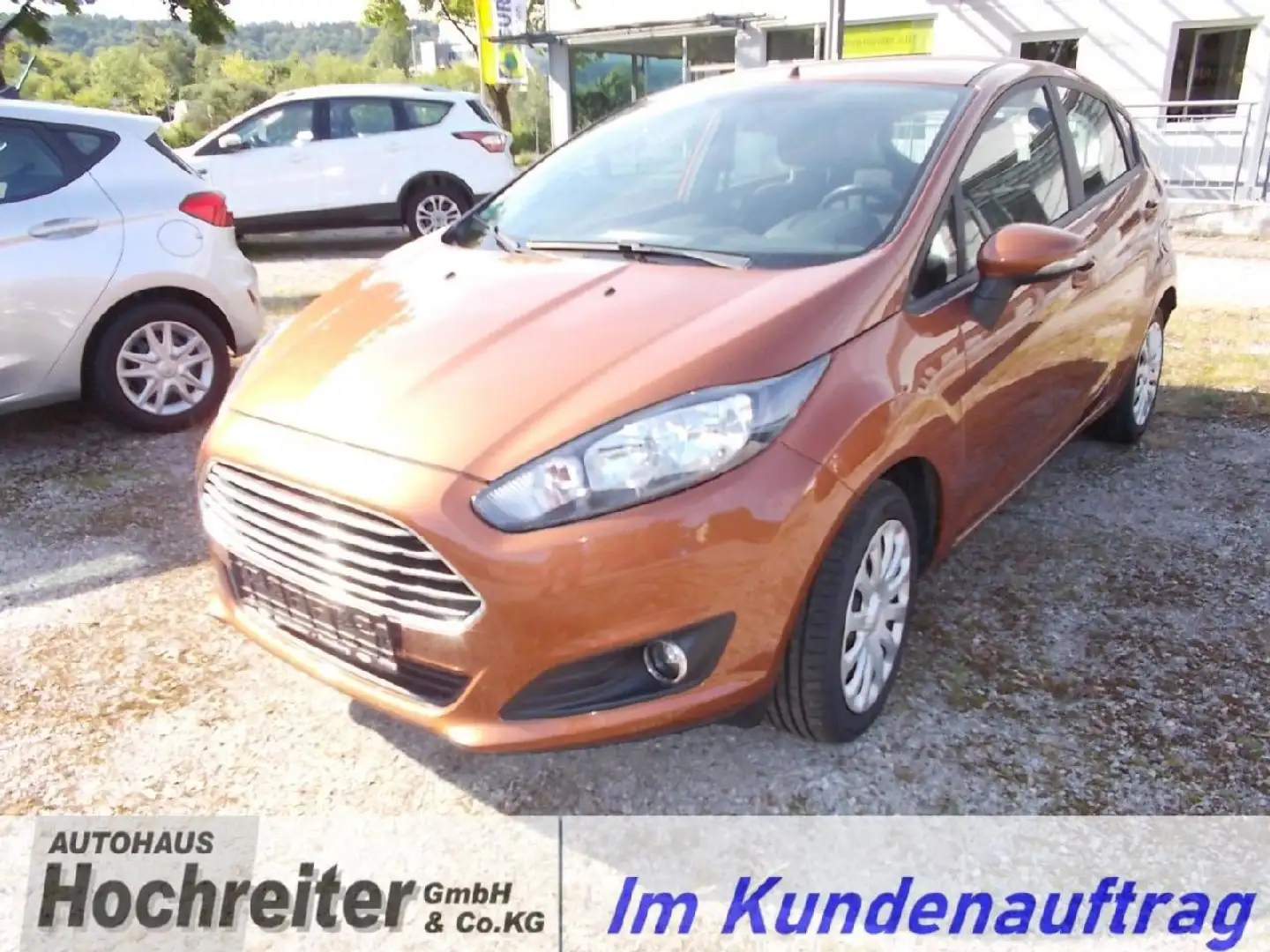 Ford Fiesta Trend Brun - 1
