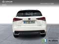 Lexus NX 300 300h Business 2WD Blanc - thumbnail 3