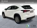 Lexus NX 300 300h Business 2WD Blanc - thumbnail 4