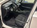 Lexus NX 300 300h Business 2WD Blanc - thumbnail 13